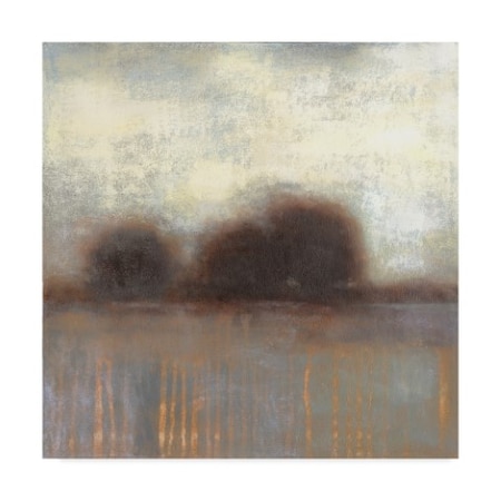 Norman Wyatt 'Haze I' Canvas Art,14x14